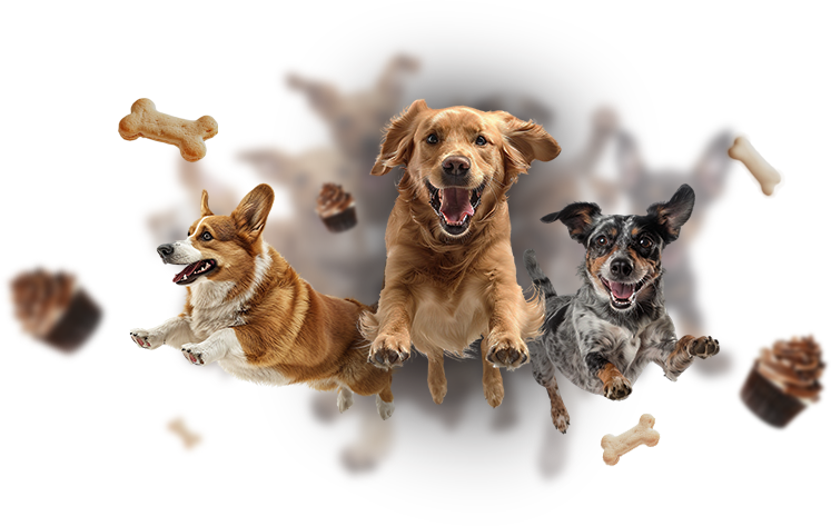 SignorCane Pet Bistrô & Cia - Cachorros felizes com nossos petiscos